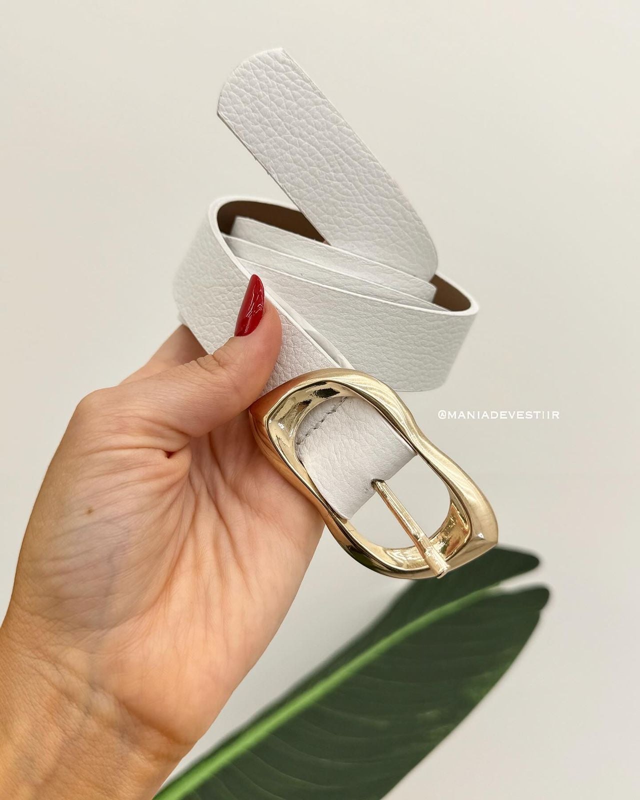 Cinto Eloise Off 60929