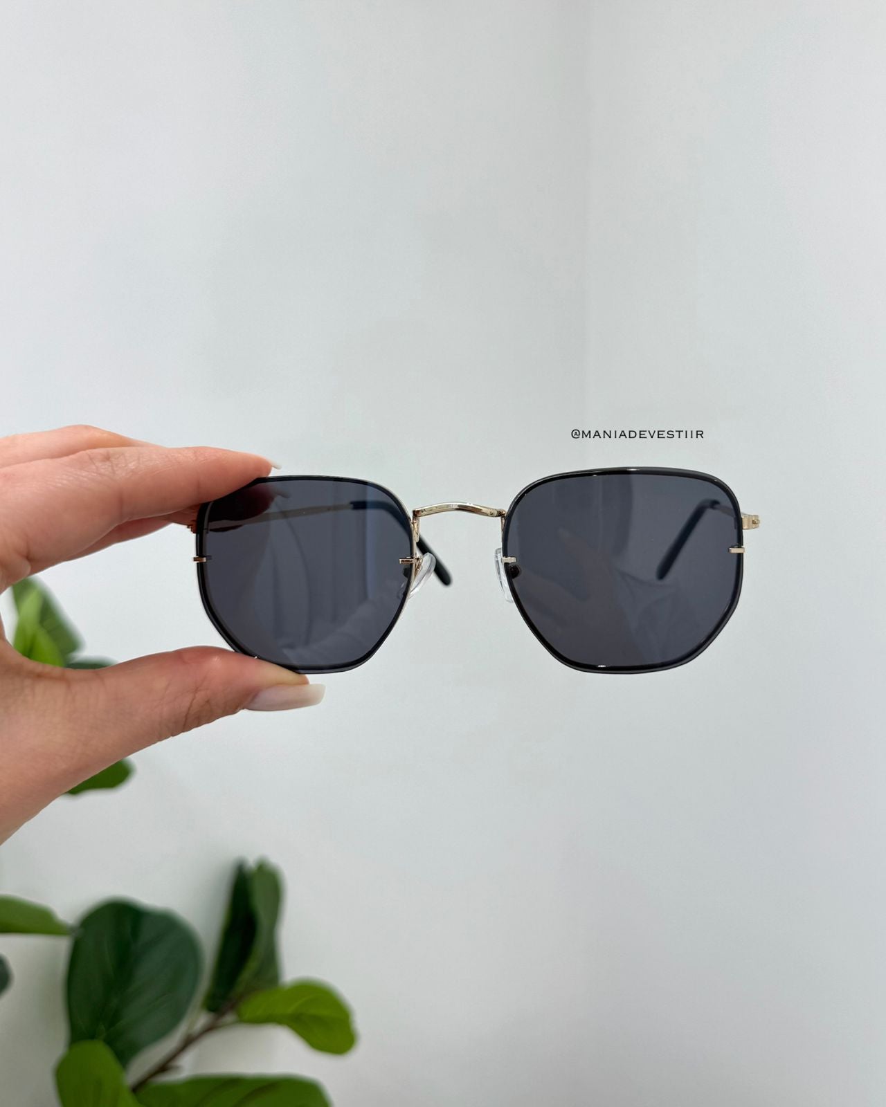 Óculos De Sol Essenza 116555