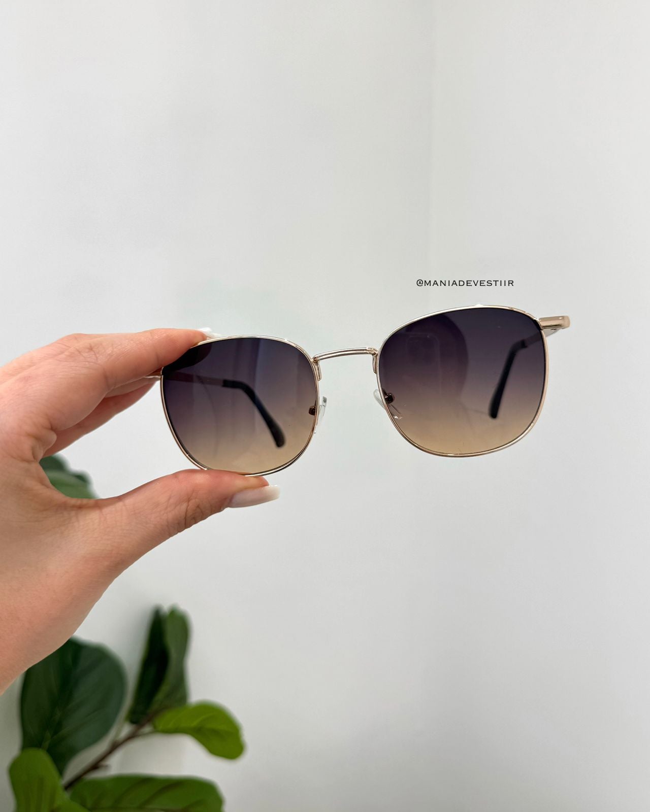 Óculos De Sol Essenza 116557