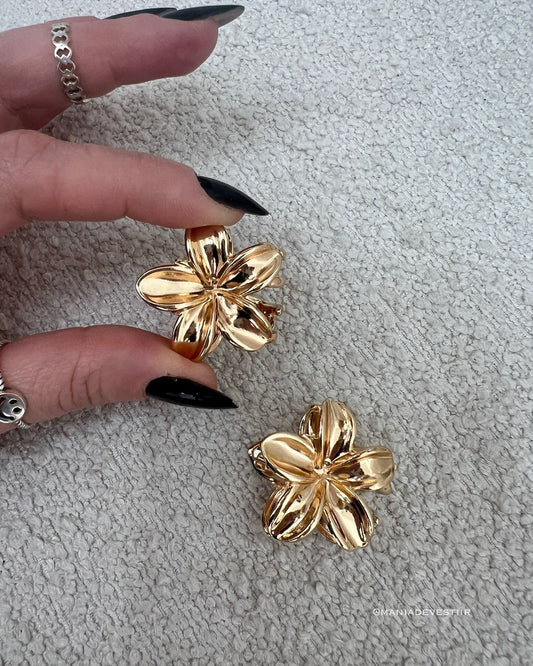 Conjunto de Presilha Carol Dourado 113314