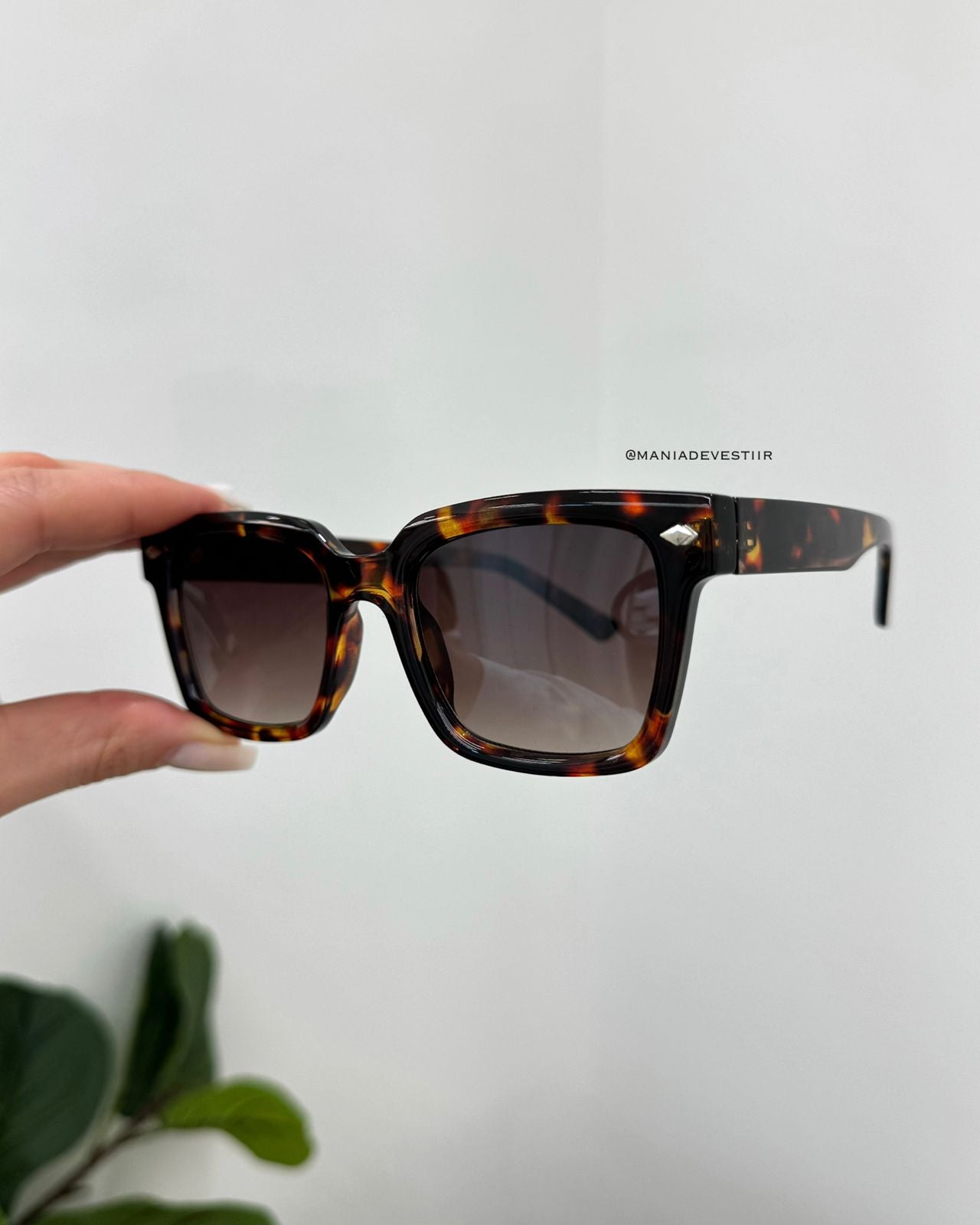 Óculos De Sol Essenza 116552